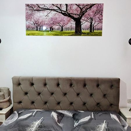 White Studio Campulung Moldovenesc Bagian luar foto