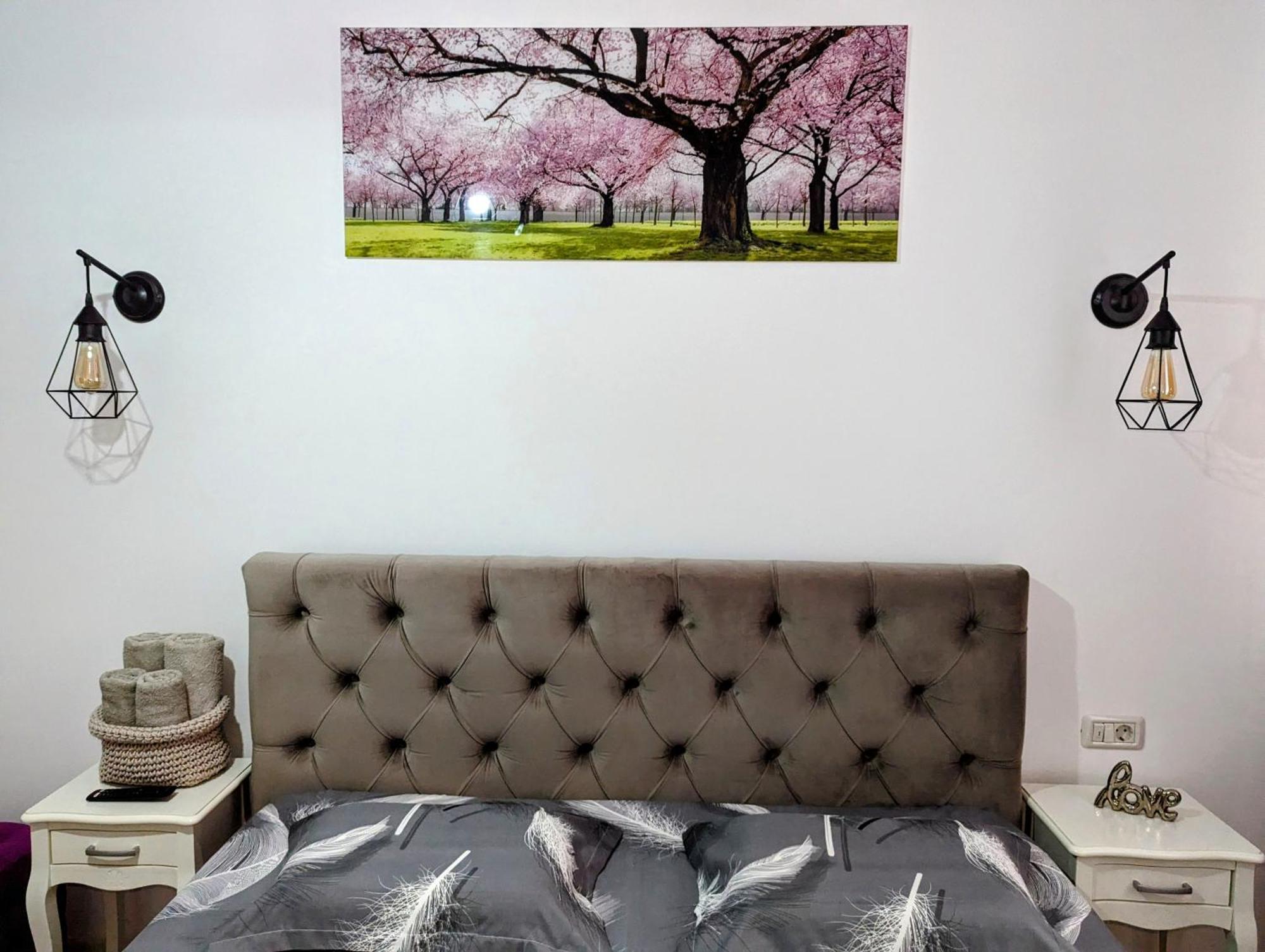 White Studio Campulung Moldovenesc Bagian luar foto